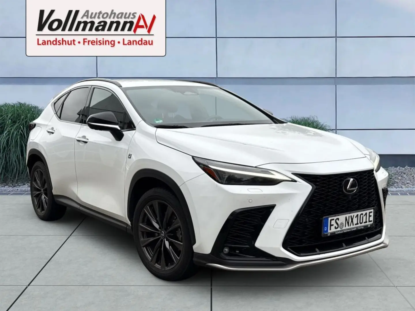 NX 450h  E-FOUR F SPORT-Paket