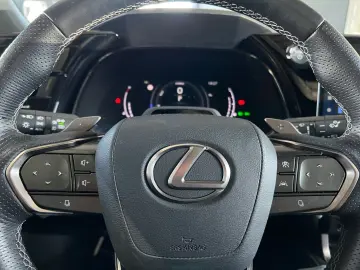 RX 500h F SPORT   Allradlenkung Pano 360  HUD 21