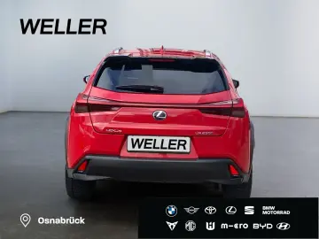 UX 250h Style Edition  Bi-LED ACC CAM SHZ CarPla