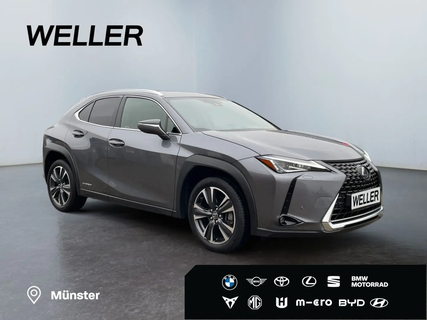 UX 250h Style Edition  Bi-LED ACC CAM SHZ CarPla