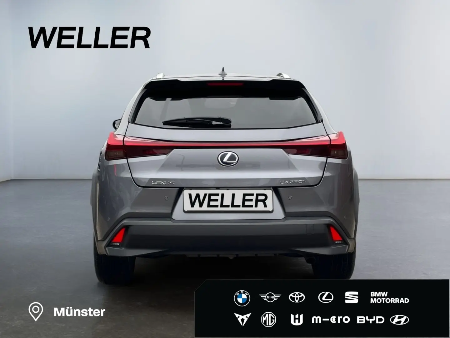 UX 250h Style Edition  Bi-LED ACC CAM SHZ CarPla