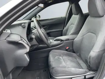 UX 250h Style Edition  Bi-LED ACC CAM SHZ CarPla