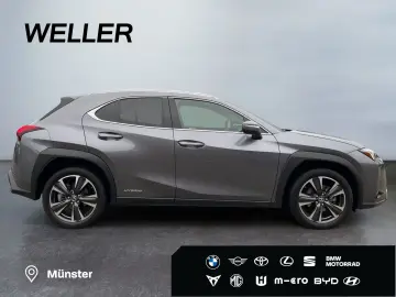 UX 250h Style Edition  Bi-LED ACC CAM SHZ CarPla