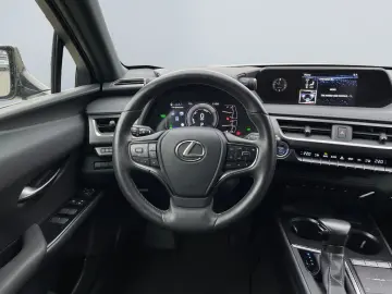 UX 250h Style Edition  Bi-LED ACC CAM SHZ CarPla