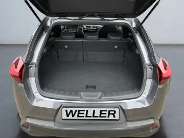 UX 250h Style Edition  Bi-LED ACC CAM SHZ CarPla