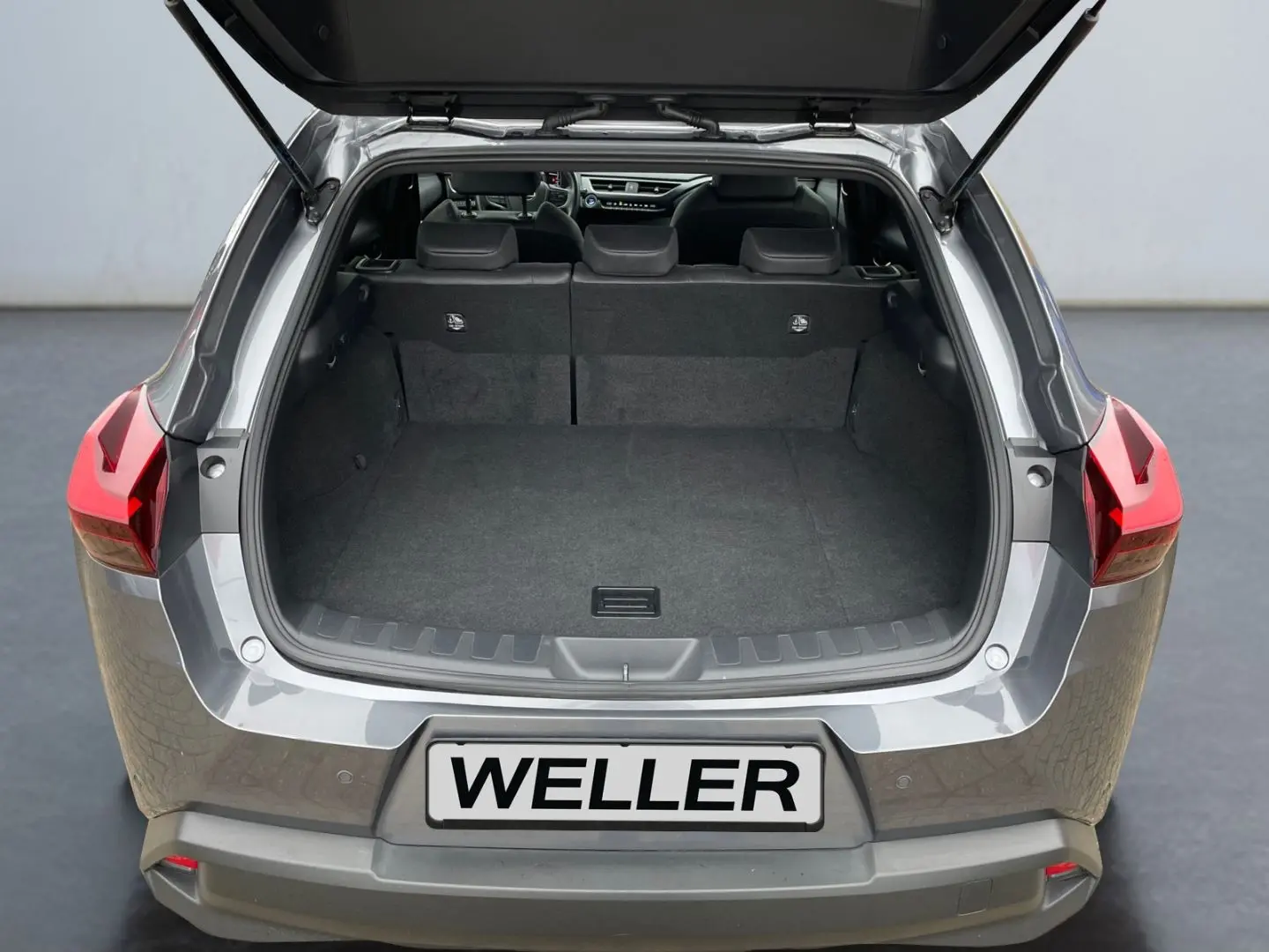 UX 250h Style Edition  Bi-LED ACC CAM SHZ CarPla