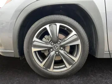 UX 250h Style Edition  Bi-LED ACC CAM SHZ CarPla