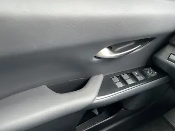 UX 250h Style Edition  Bi-LED ACC CAM SHZ CarPla