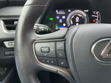 UX 250h Style Edition  Bi-LED ACC CAM SHZ CarPla