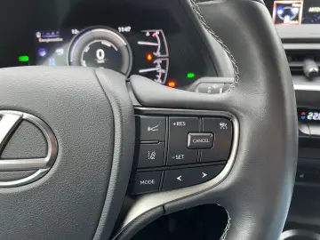 UX 250h Style Edition  Bi-LED ACC CAM SHZ CarPla