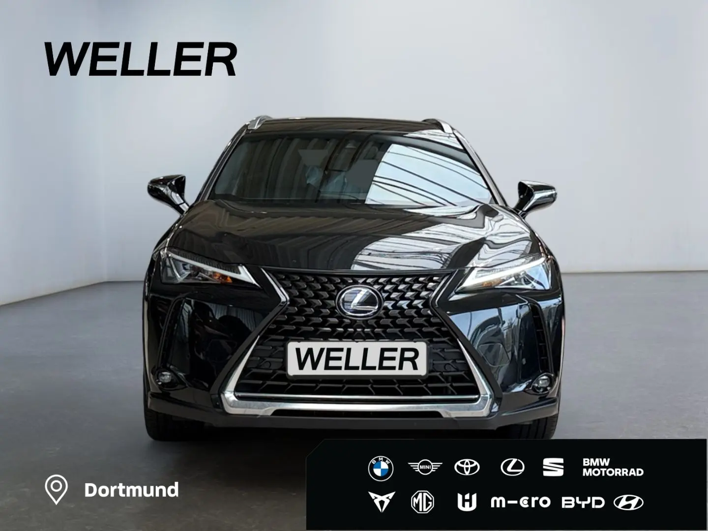 UX 250h Style Edition  Bi-LED ACC CAM CarPlay PD