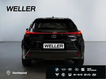 UX 250h Style Edition  Bi-LED ACC CAM CarPlay PD