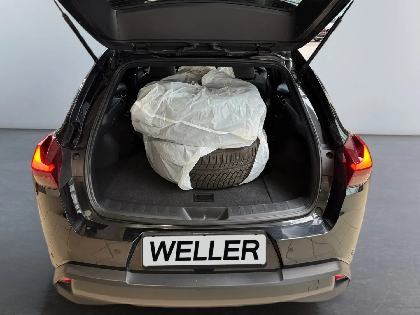 UX 250h Style Edition  Bi-LED ACC CAM CarPlay PD