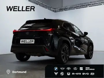 UX 250h Style Edition  Bi-LED ACC CAM CarPlay PD