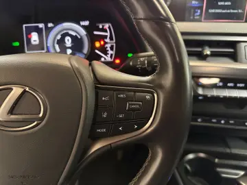 UX 250h Style Edition  Bi-LED ACC CAM CarPlay PD