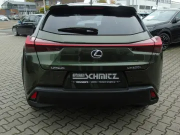 UX 250 hStyle Edition Sitzheizung