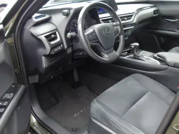 UX 250 hStyle Edition Sitzheizung