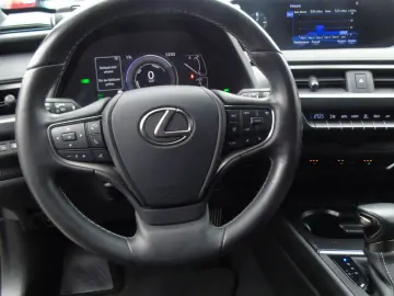 UX 250 hStyle Edition Sitzheizung