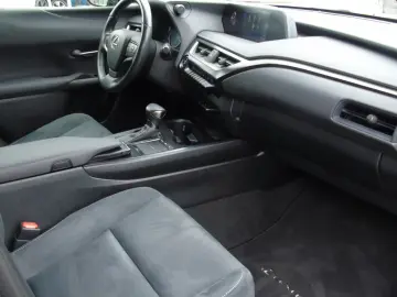 UX 250 hStyle Edition Sitzheizung