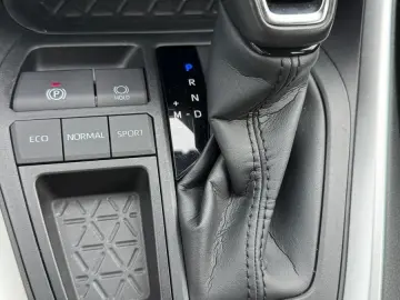 RAV 4 2.0 16V 4x2 Automatik dig. Tacho Cam DAB