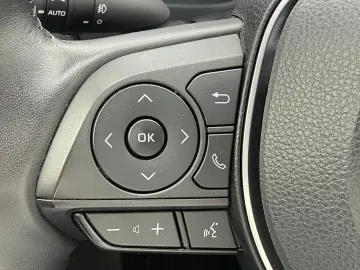 RAV 4 2.0 16V 4x2 Automatik dig. Tacho Cam DAB