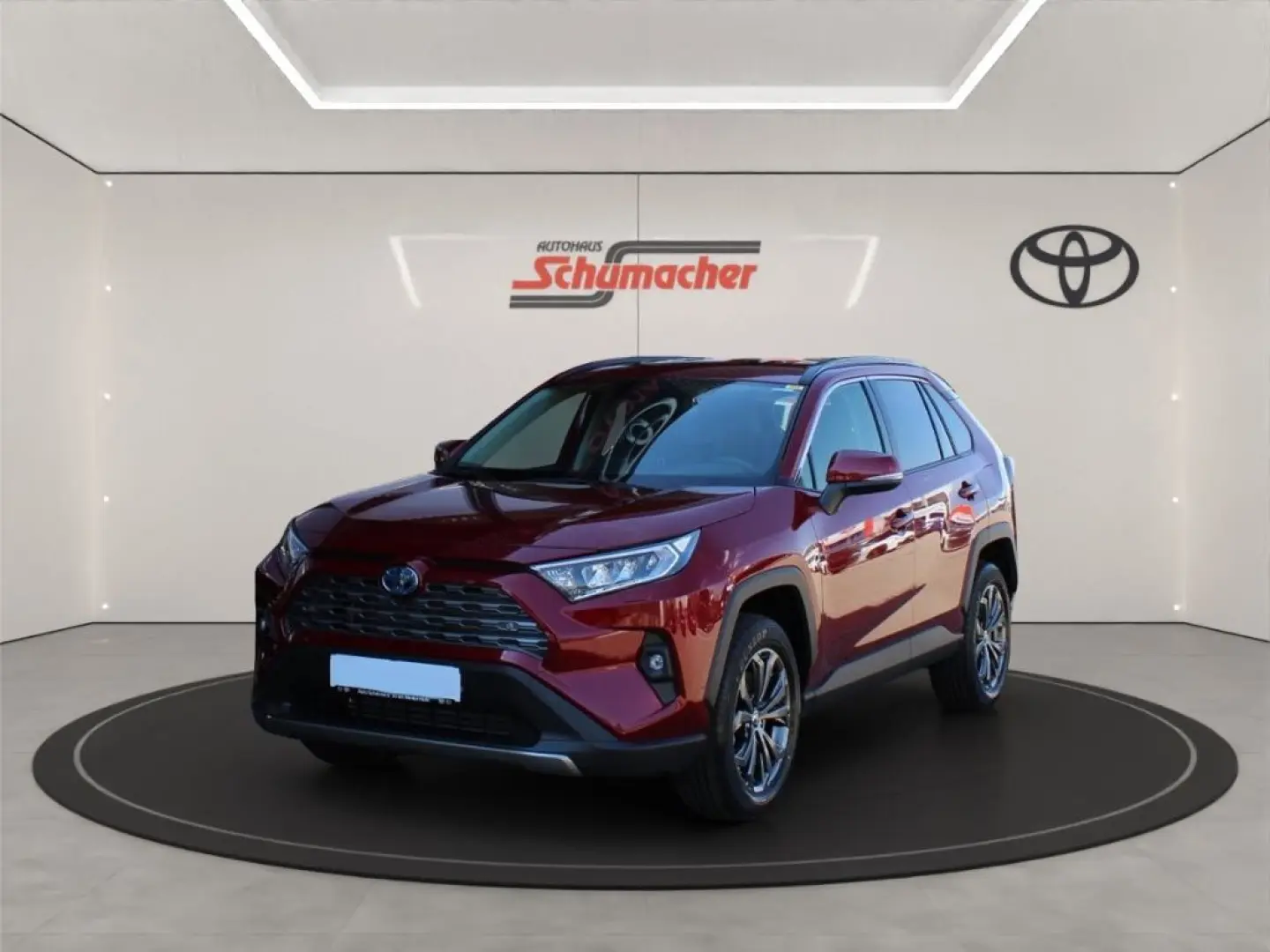 RAV 4 Hybrid 4x2 Team Deutschland TEC-P ACAA !!