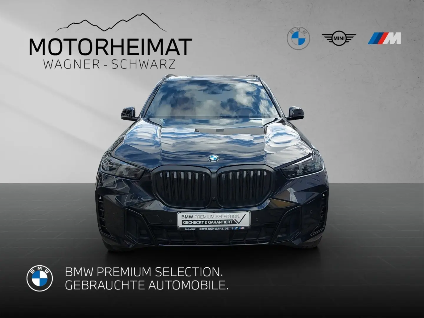 X5 xDrive30d SportPro 22  H&K Carbon Standhzg