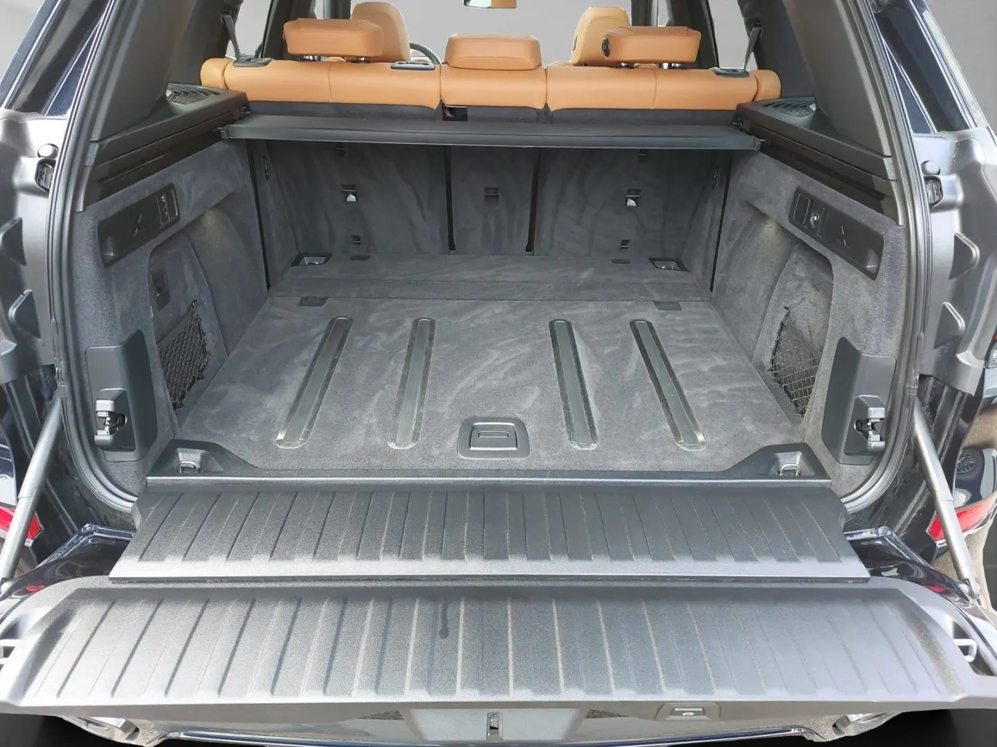 X5 xDrive30d SportPro 22  H&K Carbon Standhzg