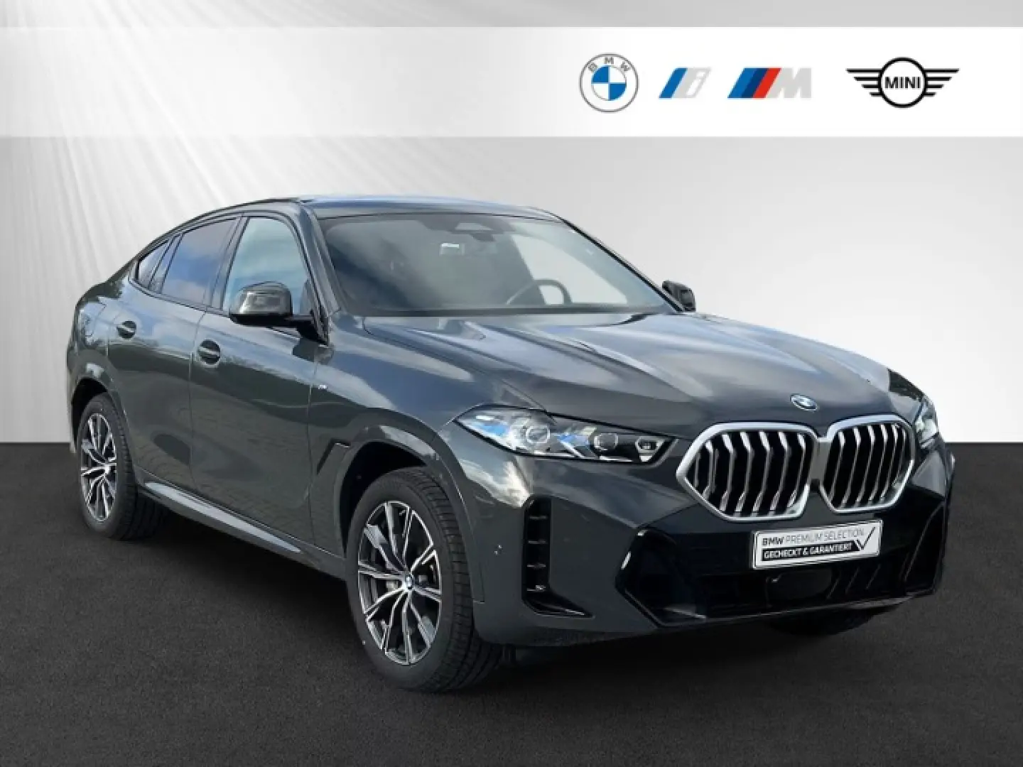 BMW X6 30d xDrive Head Up Standhzg.