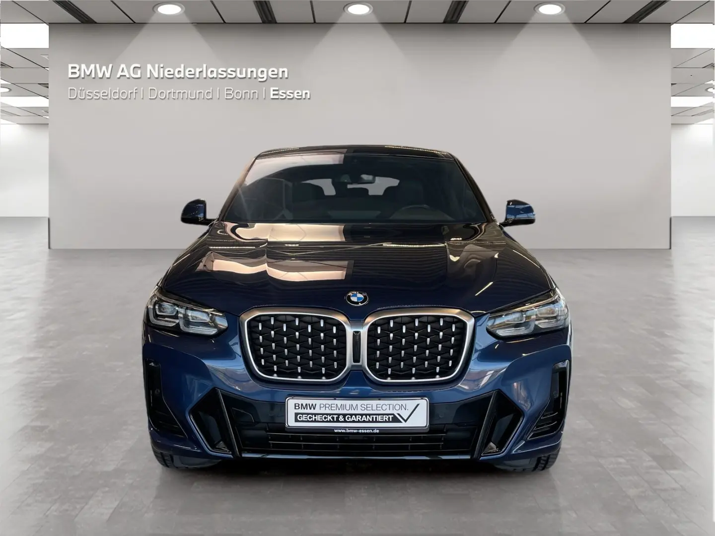 X4 xDrive30d M Sport Standheizung AHK Kamera