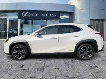 UX 250h AHK KAM DAB SHZ