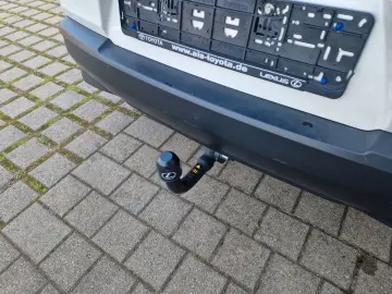 UX 250h AHK KAM DAB SHZ