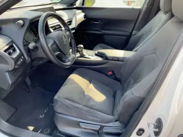 UX 250h AHK KAM DAB SHZ