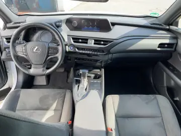 UX 250h AHK KAM DAB SHZ