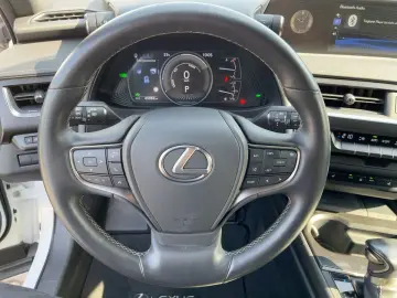 UX 250h AHK KAM DAB SHZ