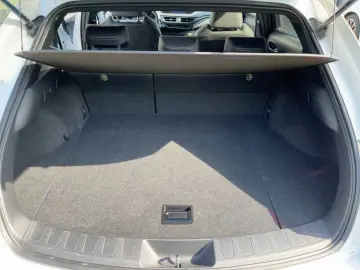 UX 250h AHK KAM DAB SHZ