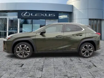 UX 250h Style Edition Navi KAM DAB SHZ Lenkradhz