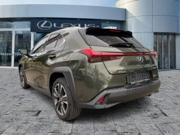 UX 250h Style Edition Navi KAM DAB SHZ Lenkradhz