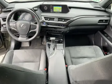 UX 250h Style Edition Navi KAM DAB SHZ Lenkradhz