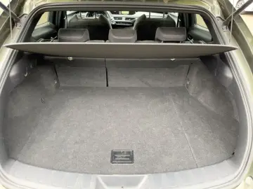 UX 250h Style Edition Navi KAM DAB SHZ Lenkradhz