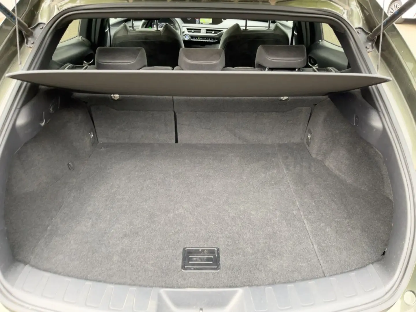 UX 250h Style Edition Navi KAM DAB SHZ Lenkradhz