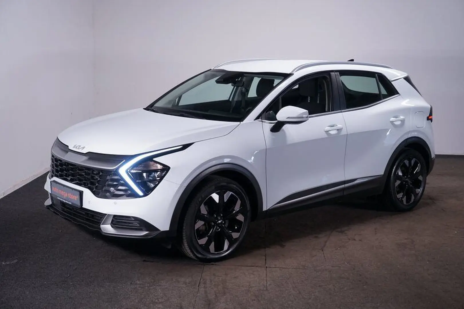 Sportage 1.6 PHEV AWD Vision Aut Navi RFK LED Ca