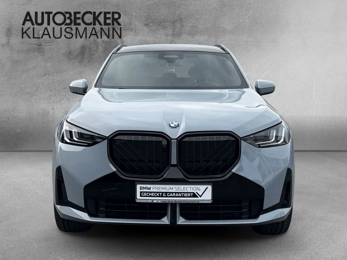 X3 xDrive 30e M Sport PRO 21 LC PROF PANO AHK AC