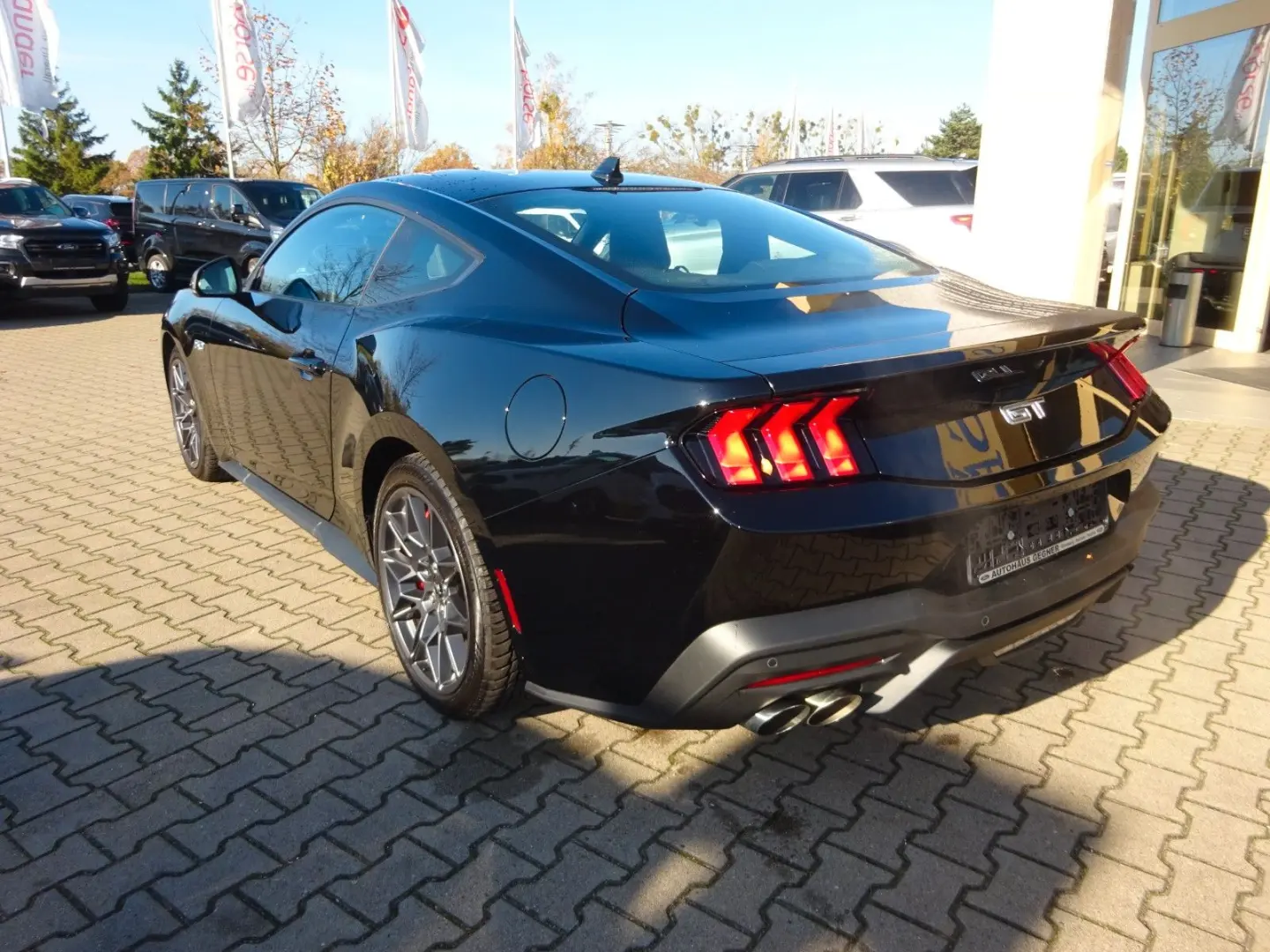 Mustang Fastback 5.0 V8