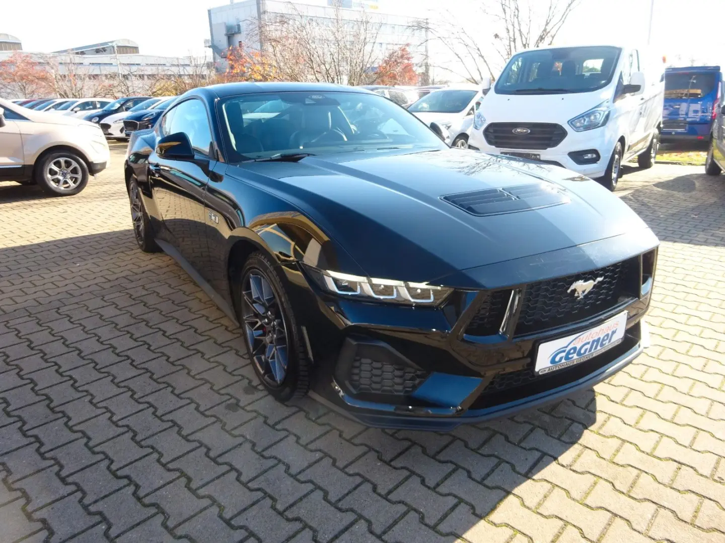 Mustang Fastback 5.0 V8