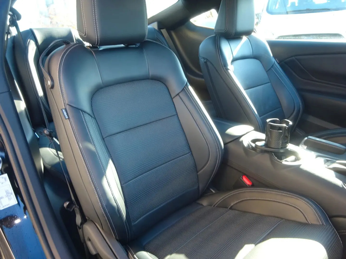 Mustang Fastback 5.0 V8