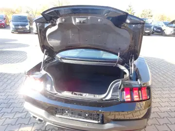 Mustang Fastback 5.0 V8