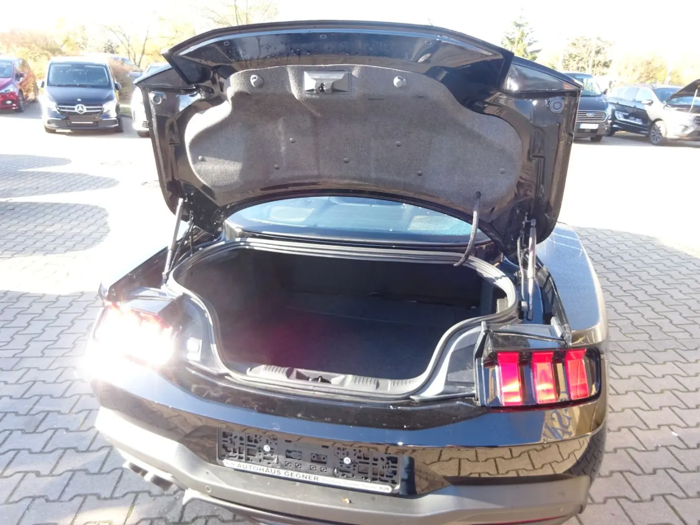 Mustang Fastback 5.0 V8