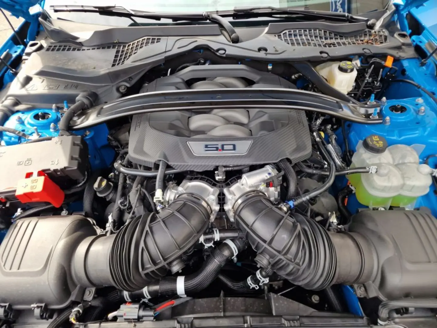 Mustang Fastback 5.0