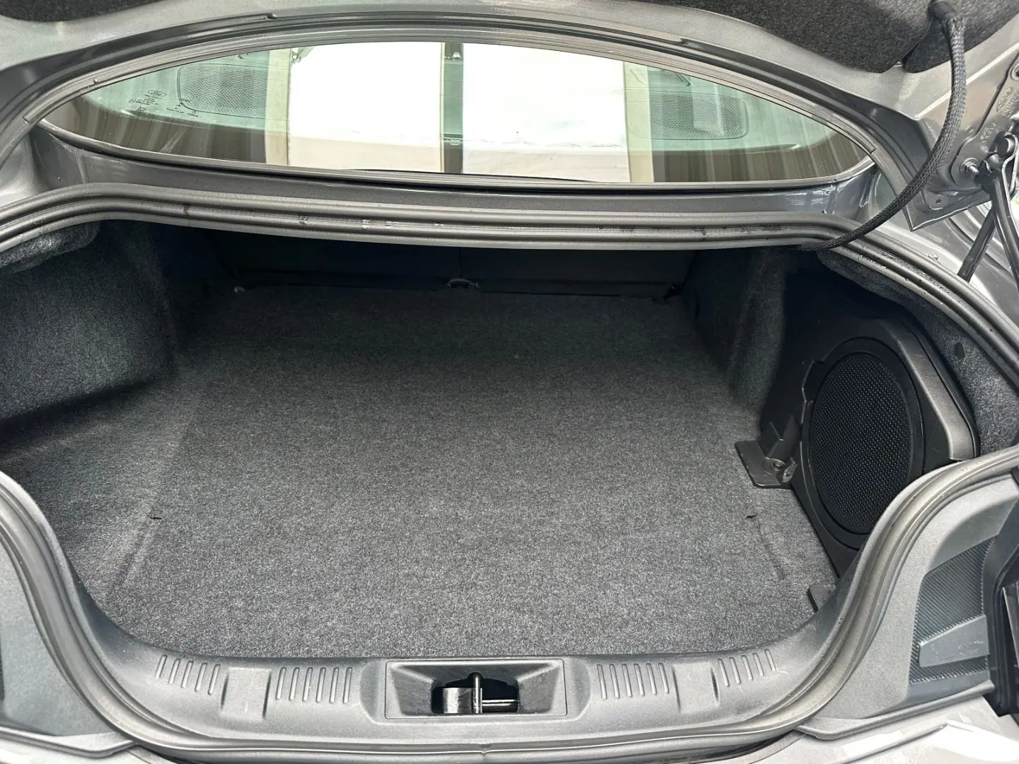 Mustang Fastback 5.0